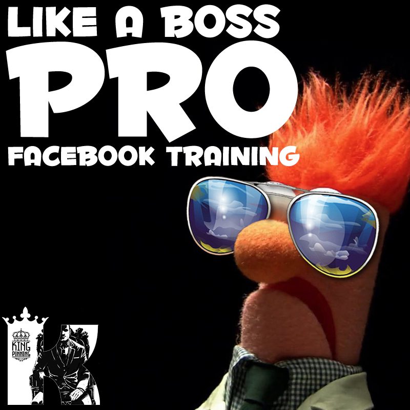 Travis Petelle - LIKE A Boss PRO Facebook Training 