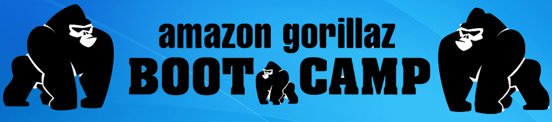Rob Fortney – Amazon Gorillaz Bootcamp