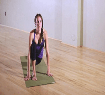 Elan Taylor - Climber Yoga: 20 Minute Flexibility Lessons for Climbers