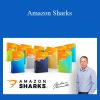 Andrew Minalto - Amazon Sharks