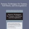 Brooke Wimer - Sensory Techniques for Trauma, Self-Harm, and Dysregulation
