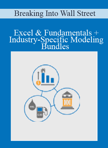 Excel & Fundamentals + Industry-Specific Modeling Bundles - Breaking Into Wall Street