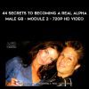 Matt Cross – 44 Secrets to Becoming a Real Alpha Male GB – Module 2 – 720p HD video