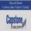 [Download Now] David Bean – Cobra (aka Viper Crude)