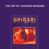 Master K – Shibari : The Art of Japanese Bondage