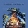 The Secret to Invindbifity - Paul Pearsall