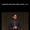 [Download Now] Jeff Primack – Qigong Healing Form Level 1 2 3
