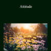 Adyashanti - Attitude
