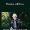 Adyashanti - Meaning and Being