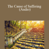 Adyashanti - The Cause of Suffering (Audio)
