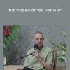 The Wisdom of "Do Nothing" - Adyashanti