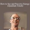 Alain Herriott - How to See and Perceive Energy (Quantum Touch)