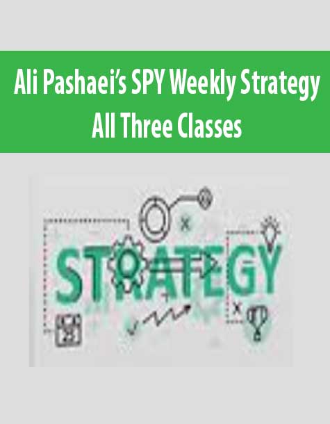 [Download Now] Ali Pashaei’s SPY Weekly Strategy – All Three Classes