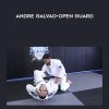 Open Guard - Andre Galvao
