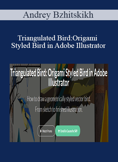 Andrey Bzhitskikh - Triangulated Bird: Origami Styled Bird in Adobe Illustrator