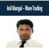 [Download Now] Anil Mangal – Wave Trading