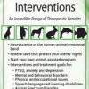 [Download Now] Animal-Assisted Interventions: An Incredible Range of Therapeutic Benefits – Brooke Wimer