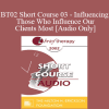 [Audio Download] BT02 Short Course 03 - Influencing Those Who Influence Our Clients Most: Why and How to Involve the Family - Les Blondino