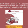 [Audio Download] BT06 Short Course 24 - A Compass to Guide Us Within the Diversity of Psychotherapy Models - Ana Almeida Melikian