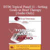 [Audio Download] BT06 Topical Panel 11 - Setting Goals in Brief Therapy - Stephen Gilligan