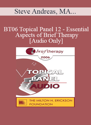 [Audio Download] BT06 Topical Panel 12 - Essential Aspects of Brief Therapy - Steve Andreas