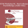[Audio Download] BT06 Workshop 06 - Brief Adlerian Psychotherapy - Jon Carlson