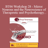 [Audio Download] BT06 Workshop 28 - Mirror Neurons and the Neuroscience of Therapeutic and Psychotherapy - Ernest Rossi