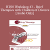 [Audio Download] BT08 Workshop 43 - Brief Therapies with Children of Divorce: Before