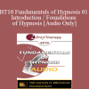 [Audio Download] BT10 Fundamentals of Hypnosis 01 - Introduction / Foundations of Hypnosis - Michael Yapko