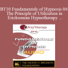[Audio Download] BT10 Fundamentals of Hypnosis 04 - The Principle of Utilization in Ericksonian Hypnotherapy - Stephen Gilligan