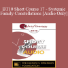 [Audio Download] BT10 Short Course 17 - Systemic Family Constellations: A Broken Heart Can Heal… Sometimes in One Beat - Dan Booth Cohen