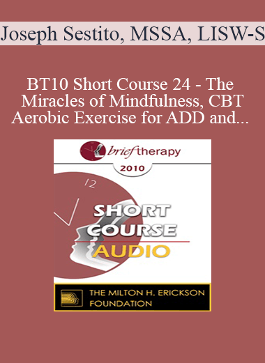 [Audio Download] BT10 Short Course 24 - The Miracles of Mindfulness