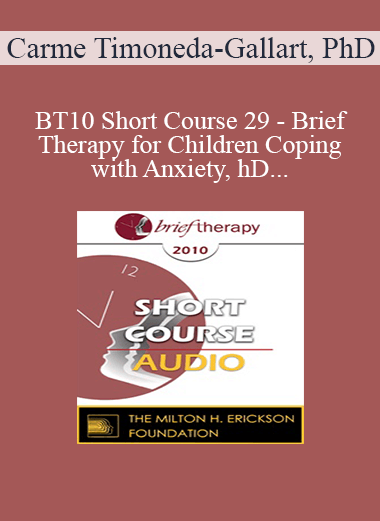 [Audio Download] BT10 Short Course 29 - Brief Therapy for Children Coping with Anxiety