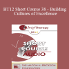 [Audio Download] BT12 Short Course 38 - Building Cultures of Excellence: Strategies to Improve Therapeutic Outcomes in Agencies - Bob Bertolino