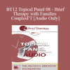 [Audio Download] BT12 Topical Panel 08 - Brief Therapy with Families and Couples - Ellyn Bader