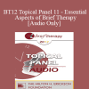 [Audio Download] BT12 Topical Panel 11 - Essential Aspects of Brief Therapy - Michael Hoyt