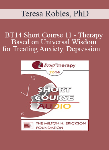 [Audio Download] BT14 Short Course 11 - Therapy Based on Universal Wisdom for Treating Anxiety