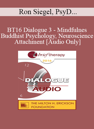 [Audio Download] BT16 Dialogue 3 - Mindfulness