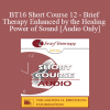 [Audio Download] BT16 Short Course 12 - Brief Therapy Enhanced by the Healing Power of Sound - Norma Barretta