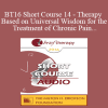 [Audio Download] BT16 Short Course 14 - Therapy Based on Universal Wisdom for the Treatment of Chronic Pain - Teresa Robles