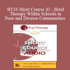 [Audio Download] BT16 Short Course 41 - Brief Therapy Within Schools in Poor and Diverse Communities - Karin Schlanger
