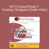 [Audio Download] BT16 Topical Panel 3 - Training Therapists - Stephen Gilligan