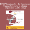 [Audio Download] BT16 Workshop 14 - To Experience Change You Have to Change Experience - Stephen Lankton