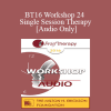 [Audio Download] BT16 Workshop 24 - Single Session Therapy: When the First Session May Be The Last - Michael Hoyt