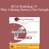 [Audio Download] BT16 Workshop 35 - Why Calming Down is Not Enough: Active Strategies to Help Anxious Kids and Parents - Lynn Lyons