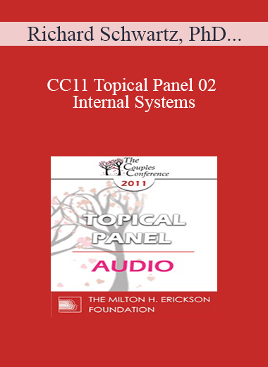 [Audio Download] CC11 Topical Panel 02 - Internal Systems: Which Ones and Do They Matter? - Richard Schwartz
