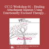[Audio Download] CC12 Workshop 01 - Healing Attachment Injuries Using Emotionally Focused Therapy - Scott Woolley