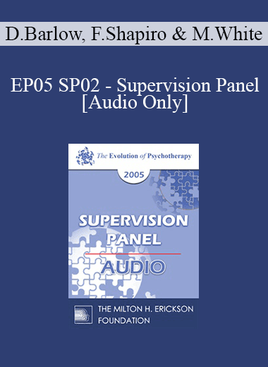 [Audio Download] EP05 SP02 - Supervision Panel - David Barlow