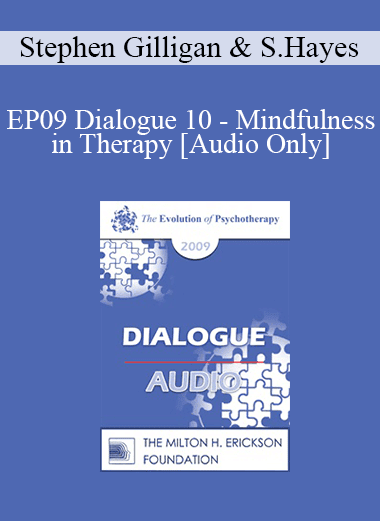 [Audio Download] EP09 Dialogue 10 - Mindfulness in Therapy - Stephen Gilligan