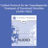 [Audio Download] EP13 Workshop 02 - Unified Protocol for the Transdiagnostic Treatment of Emotional Disorders - David Barlow
